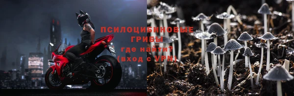ПСИЛОЦИБИНОВЫЕ ГРИБЫ Володарск