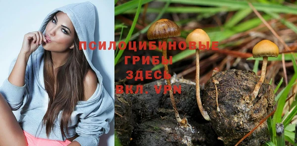 ПСИЛОЦИБИНОВЫЕ ГРИБЫ Володарск