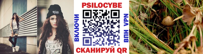 купить закладку  Елец  Псилоцибиновые грибы мухоморы 