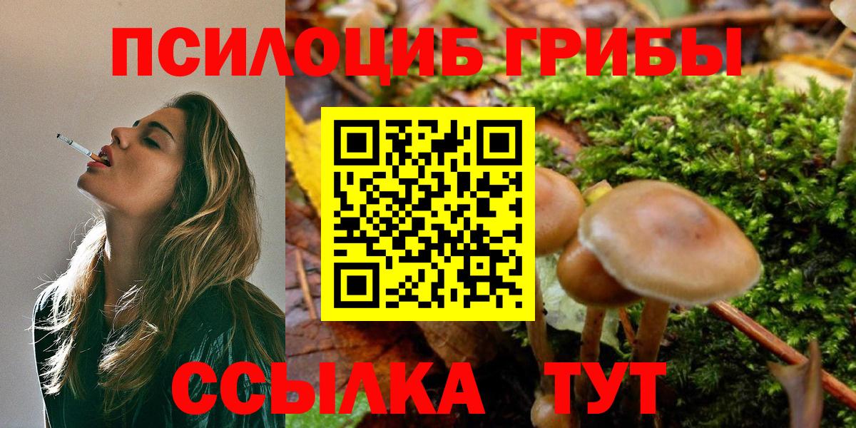 МЕТАМФЕТАМИН Елец