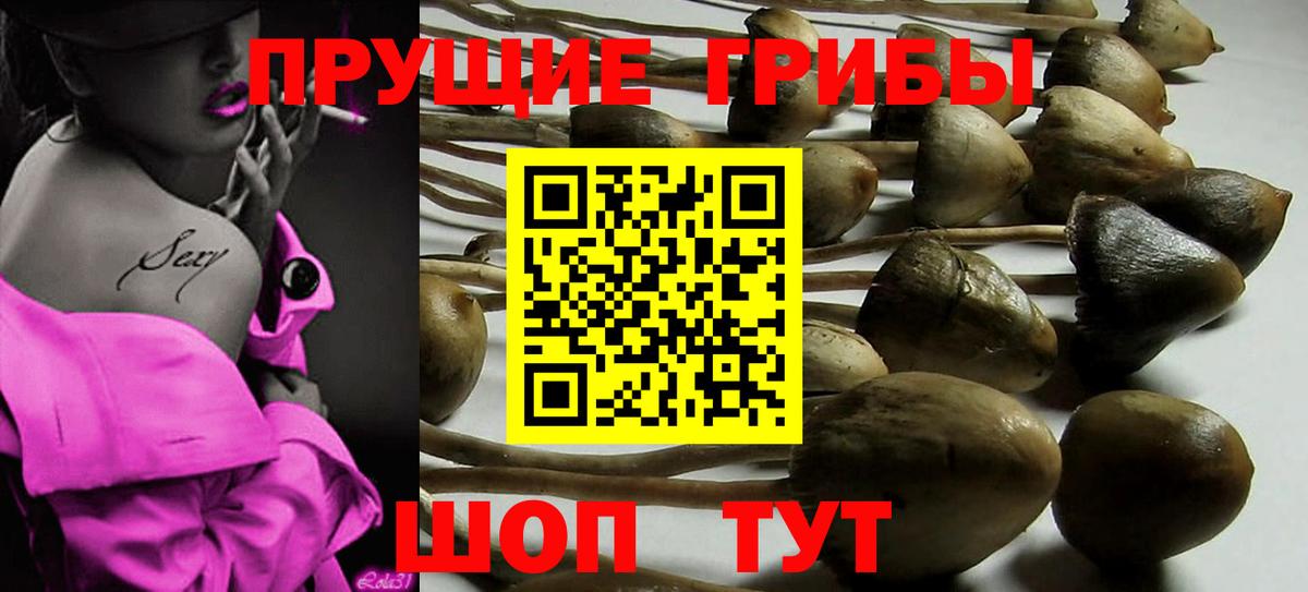 Галлюциногенные грибы MAGIC MUSHROOMS  Вход с VPN  Елец  Псилоцибиновые грибы Cubensis 