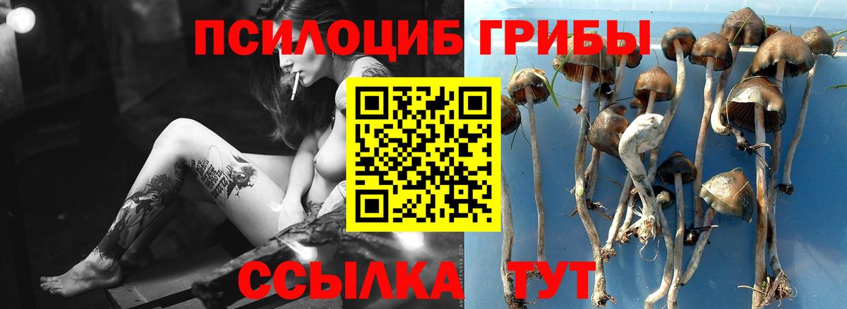 Псилоцибиновые грибы MAGIC MUSHROOMS Елец
